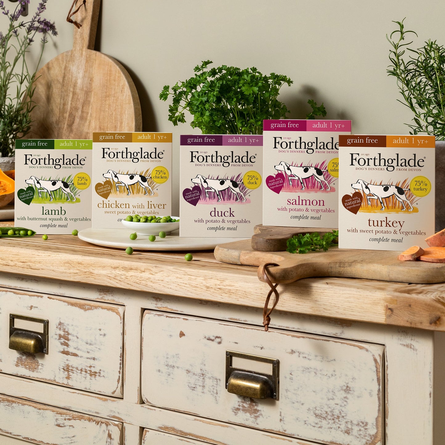 Duck with Potato & Vegetables Natural Wet Dog Food