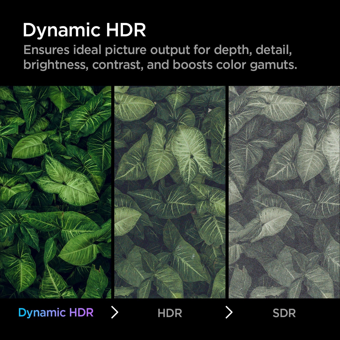 ArcWire™ HDMI 2.1 Cable | PB2001